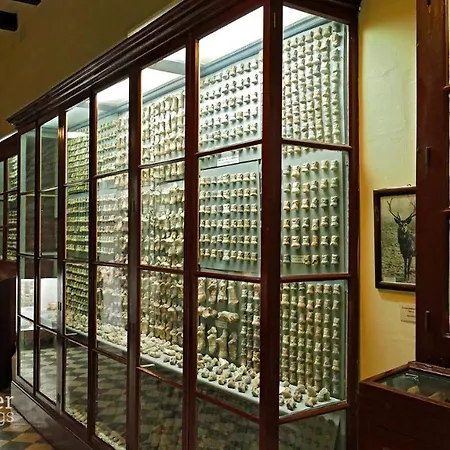 Petrus Court Birzebbuga